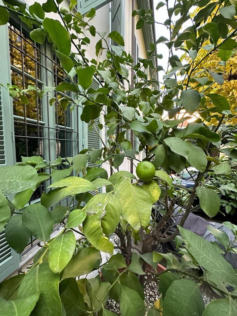 Della Rocca Urban Relais Apartment Turin Ngoại thất bức ảnh